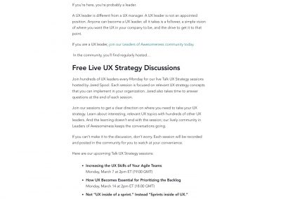 Leaders of Awesomeness Landing Page copy
